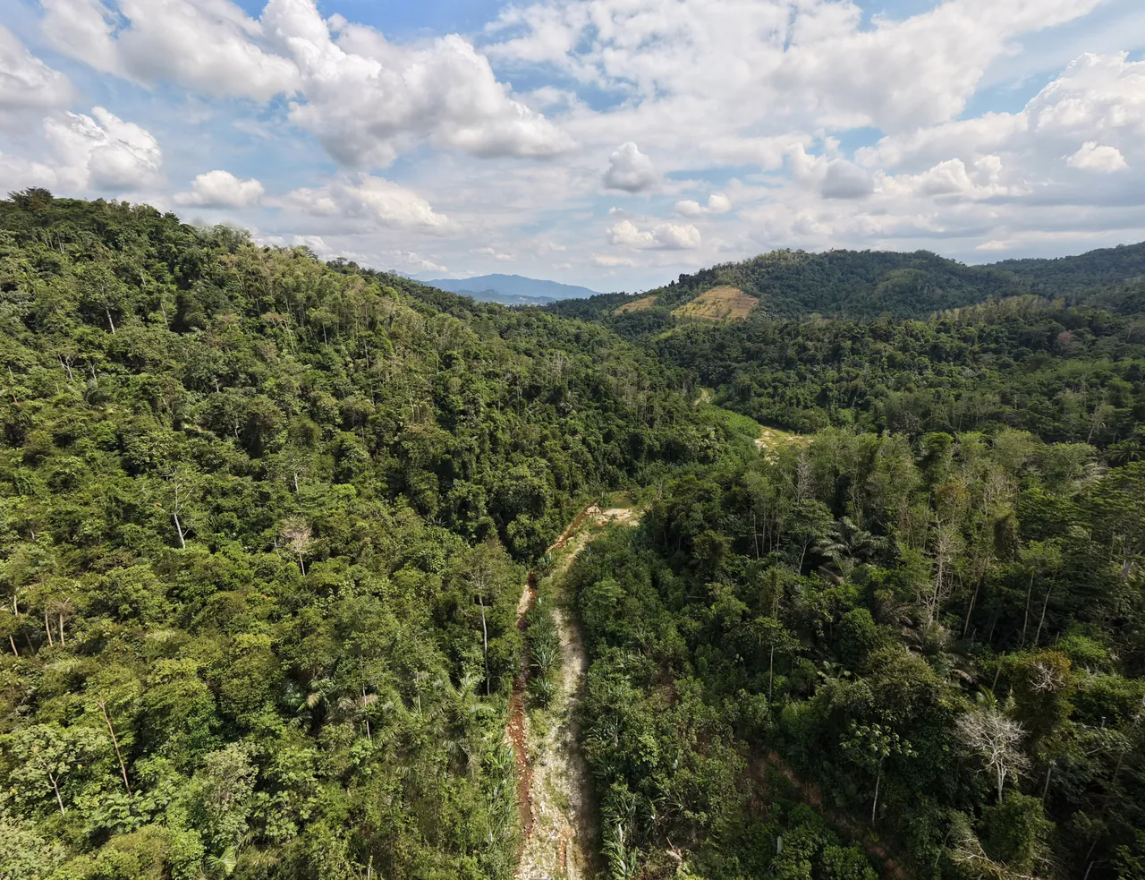 Forest valley photographed during a Serambi Alam site visit