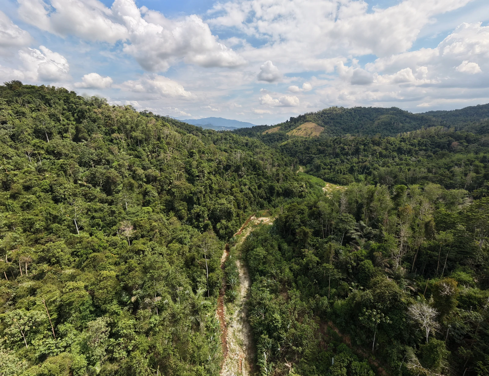 Forested ridges and valley at Serambi Alam
