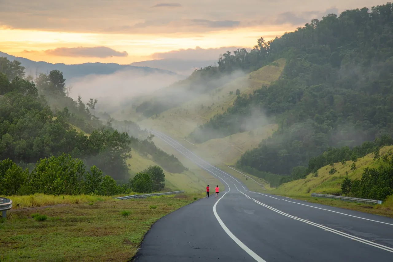 Morning mist over a road winding through forested hills