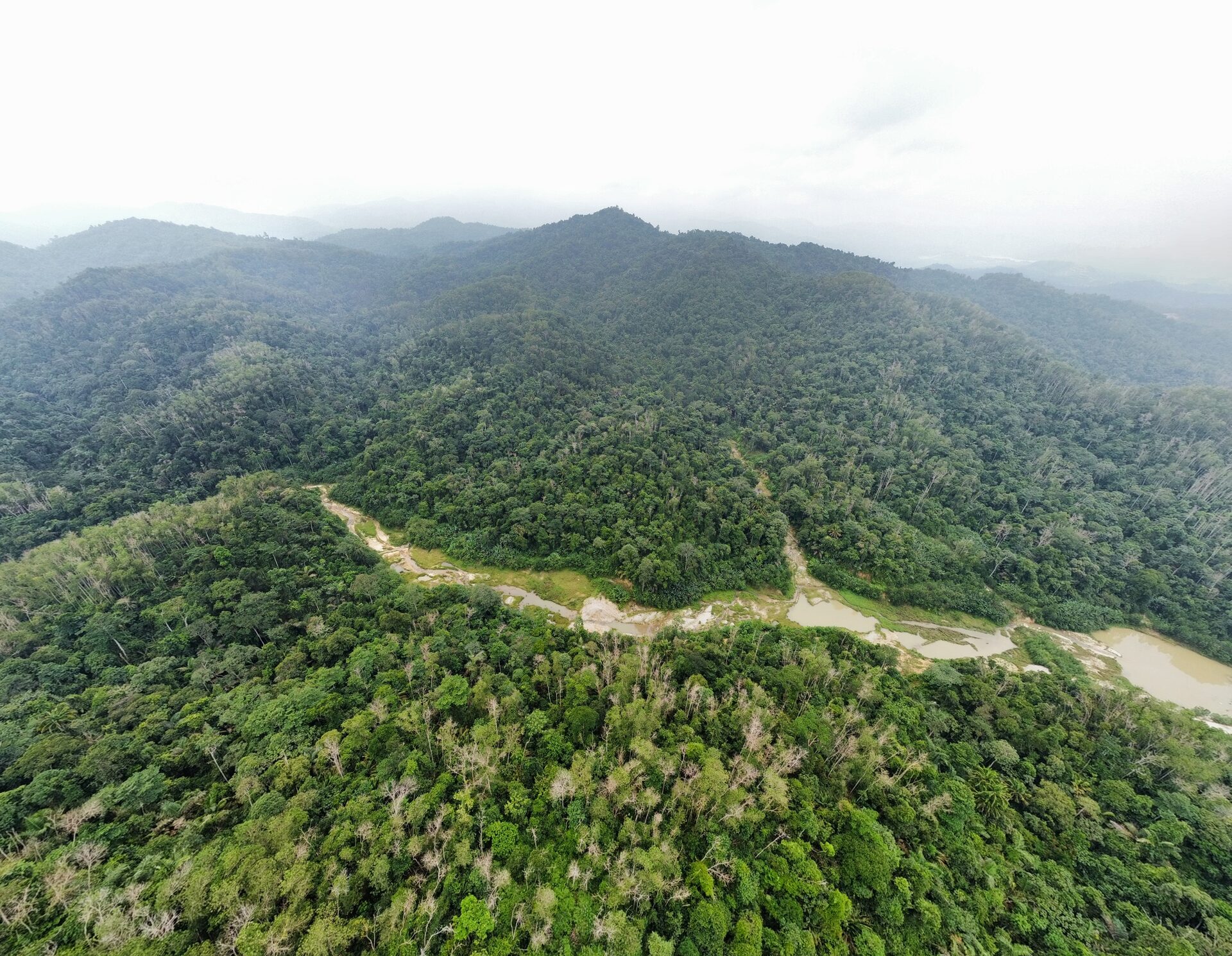 Aerial view of the Serambi Alam forest and mountains